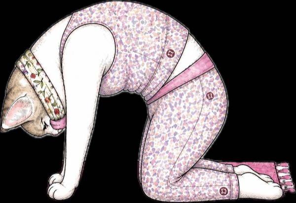猫のポーズで背中を丸めた白い猫